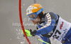 Axel Baeck of Sweden skiing in first run of men slalom Snow Queen Trophy race of Audi FIS Alpine skiing World cup 2012-2013 on Sljeme above Zagreb, Croatia. Men slalom Snow Queen Trophy race of Audi FIS Alpine skiing World cup was held on Sljeme above Zagreb, Croatia, on Sunday, 6th of January 2013.
