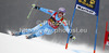 Tina Maze of Slovenia skiing in first run of women giant slalom Golden Fox trophy race of Audi FIS Alpine skiing World cup 2012-2013 in Maribor, Slovenia. Women giant slalom race of Audi FIS Alpine skiing World cup was held in Maribor, Slovenia, on Saturday, 26th of January 2013.
