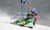Tanja Poutiainen of Finland skiing in first run of women giant slalom Golden Fox trophy race of Audi FIS Alpine skiing World cup 2012-2013 in Maribor, Slovenia. Women giant slalom race of Audi FIS Alpine skiing World cup was held in Maribor, Slovenia, on Saturday, 26th of January 2013.
