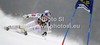 Lindsey Vonn of USA skiing in first run of women giant slalom Golden Fox trophy race of Audi FIS Alpine skiing World cup 2012-2013 in Maribor, Slovenia. Women giant slalom race of Audi FIS Alpine skiing World cup was held in Maribor, Slovenia, on Saturday, 26th of January 2013.
