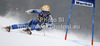 Frida Hansdotter of Sweden skiing in first run of women giant slalom Golden Fox trophy race of Audi FIS Alpine skiing World cup 2012-2013 in Maribor, Slovenia. Women giant slalom race of Audi FIS Alpine skiing World cup was held in Maribor, Slovenia, on Saturday, 26th of January 2013.
