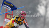 Marie-Michele Gagnon of Canada skiing in first run of women giant slalom Golden Fox trophy race of Audi FIS Alpine skiing World cup 2012-2013 in Maribor, Slovenia. Women giant slalom race of Audi FIS Alpine skiing World cup was held in Maribor, Slovenia, on Saturday, 26th of January 2013.
