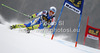 Ana Drev of Slovenia skiing in first run of women giant slalom Golden Fox trophy race of Audi FIS Alpine skiing World cup 2012-2013 in Maribor, Slovenia. Women giant slalom race of Audi FIS Alpine skiing World cup was held in Maribor, Slovenia, on Saturday, 26th of January 2013.
