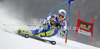 Ana Drev of Slovenia skiing in first run of women giant slalom Golden Fox trophy race of Audi FIS Alpine skiing World cup 2012-2013 in Maribor, Slovenia. Women giant slalom race of Audi FIS Alpine skiing World cup was held in Maribor, Slovenia, on Saturday, 26th of January 2013.
