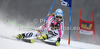 Barbara Wirth of Germany skiing in first run of women giant slalom Golden Fox trophy race of Audi FIS Alpine skiing World cup 2012-2013 in Maribor, Slovenia. Women giant slalom race of Audi FIS Alpine skiing World cup was held in Maribor, Slovenia, on Saturday, 26th of January 2013.
