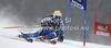 Sara Hector of Sweden skiing in first run of women giant slalom Golden Fox trophy race of Audi FIS Alpine skiing World cup 2012-2013 in Maribor, Slovenia. Women giant slalom race of Audi FIS Alpine skiing World cup was held in Maribor, Slovenia, on Saturday, 26th of January 2013.
