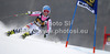 Veronique Hronek of Germany skiing in first run of women giant slalom Golden Fox trophy race of Audi FIS Alpine skiing World cup 2012-2013 in Maribor, Slovenia. Women giant slalom race of Audi FIS Alpine skiing World cup was held in Maribor, Slovenia, on Saturday, 26th of January 2013.
