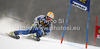 Kajsa Kling of Sweden skiing in first run of women giant slalom Golden Fox trophy race of Audi FIS Alpine skiing World cup 2012-2013 in Maribor, Slovenia. Women giant slalom race of Audi FIS Alpine skiing World cup was held in Maribor, Slovenia, on Saturday, 26th of January 2013.
