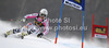 Susanne Weinbuchner of Germany skiing in first run of women giant slalom Golden Fox trophy race of Audi FIS Alpine skiing World cup 2012-2013 in Maribor, Slovenia. Women giant slalom race of Audi FIS Alpine skiing World cup was held in Maribor, Slovenia, on Saturday, 26th of January 2013.
