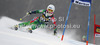 Nina Halme of Finland skiing in first run of women giant slalom Golden Fox trophy race of Audi FIS Alpine skiing World cup 2012-2013 in Maribor, Slovenia. Women giant slalom race of Audi FIS Alpine skiing World cup was held in Maribor, Slovenia, on Saturday, 26th of January 2013.
