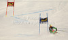 Nina Halme of Finland skiing in first run of women giant slalom Golden Fox trophy race of Audi FIS Alpine skiing World cup 2012-2013 in Maribor, Slovenia. Women giant slalom race of Audi FIS Alpine skiing World cup was held in Maribor, Slovenia, on Saturday, 26th of January 2013.
