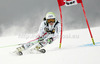 Anna Fenninger of Austria skiing in first run of women giant slalom Golden Fox trophy race of Audi FIS Alpine skiing World cup 2012-2013 in Maribor, Slovenia. Women giant slalom race of Audi FIS Alpine skiing World cup was held in Maribor, Slovenia, on Saturday, 26th of January 2013.
