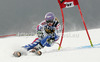 Tessa Worley of France skiing in first run of women giant slalom Golden Fox trophy race of Audi FIS Alpine skiing World cup 2012-2013 in Maribor, Slovenia. Women giant slalom race of Audi FIS Alpine skiing World cup was held in Maribor, Slovenia, on Saturday, 26th of January 2013.

