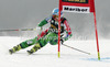 Tanja Poutiainen of Finland skiing in first run of women giant slalom Golden Fox trophy race of Audi FIS Alpine skiing World cup 2012-2013 in Maribor, Slovenia. Women giant slalom race of Audi FIS Alpine skiing World cup was held in Maribor, Slovenia, on Saturday, 26th of January 2013.
