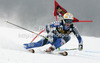Frida Hansdotter of Sweden skiing in first run of women giant slalom Golden Fox trophy race of Audi FIS Alpine skiing World cup 2012-2013 in Maribor, Slovenia. Women giant slalom race of Audi FIS Alpine skiing World cup was held in Maribor, Slovenia, on Saturday, 26th of January 2013.
