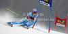 Tina Maze of Slovenia skiing in first run of women giant slalom Golden Fox trophy race of Audi FIS Alpine skiing World cup 2012-2013 in Maribor, Slovenia. Women giant slalom race of Audi FIS Alpine skiing World cup was held in Maribor, Slovenia, on Saturday, 26th of January 2013.
