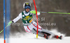 Kathrin Zettel of Austria skiing in first run of women slalom Golden Fox trophy race of Audi FIS Alpine skiing World cup 2012-2013 in Maribor, Slovenia. Women slalom race of Audi FIS Alpine skiing World cup was held in Maribor, Slovenia, on Sunday, 27th of January 2013.
