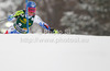 Veronika Velez Zuzulova of Slovakia skiing in first run of women slalom Golden Fox trophy race of Audi FIS Alpine skiing World cup 2012-2013 in Maribor, Slovenia. Women slalom race of Audi FIS Alpine skiing World cup was held in Maribor, Slovenia, on Sunday, 27th of January 2013.
