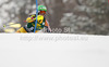 Erin Mielzynski of Canada skiing in first run of women slalom Golden Fox trophy race of Audi FIS Alpine skiing World cup 2012-2013 in Maribor, Slovenia. Women slalom race of Audi FIS Alpine skiing World cup was held in Maribor, Slovenia, on Sunday, 27th of January 2013.

