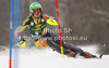 Erin Mielzynski of Canada skiing in first run of women slalom Golden Fox trophy race of Audi FIS Alpine skiing World cup 2012-2013 in Maribor, Slovenia. Women slalom race of Audi FIS Alpine skiing World cup was held in Maribor, Slovenia, on Sunday, 27th of January 2013.
