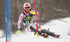 Christina Geiger of Germany skiing in first run of women slalom Golden Fox trophy race of Audi FIS Alpine skiing World cup 2012-2013 in Maribor, Slovenia. Women slalom race of Audi FIS Alpine skiing World cup was held in Maribor, Slovenia, on Sunday, 27th of January 2013.
