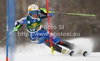 Anna Swenn-Larsson of Sweden skiing in first run of women slalom Golden Fox trophy race of Audi FIS Alpine skiing World cup 2012-2013 in Maribor, Slovenia. Women slalom race of Audi FIS Alpine skiing World cup was held in Maribor, Slovenia, on Sunday, 27th of January 2013.
