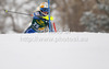Emelie Wikstroem of Sweden skiing in first run of women slalom Golden Fox trophy race of Audi FIS Alpine skiing World cup 2012-2013 in Maribor, Slovenia. Women slalom race of Audi FIS Alpine skiing World cup was held in Maribor, Slovenia, on Sunday, 27th of January 2013.
