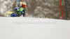 Paulina Grassl of Sweden skiing in first run of women slalom Golden Fox trophy race of Audi FIS Alpine skiing World cup 2012-2013 in Maribor, Slovenia. Women slalom race of Audi FIS Alpine skiing World cup was held in Maribor, Slovenia, on Sunday, 27th of January 2013.
