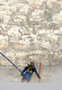 Nathalie Eklund of Sweden skiing in first run of women slalom Golden Fox trophy race of Audi FIS Alpine skiing World cup 2012-2013 in Maribor, Slovenia. Women slalom race of Audi FIS Alpine skiing World cup was held in Maribor, Slovenia, on Sunday, 27th of January 2013.
