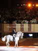 Lippizaner horses during opening ceremony of FIS Alpine skiing World Championships in Schladming, Austria. FIS Alpine skiing World championships Schladming 2013, were officially opened with opening ceremony, which took place in Planai Stadium in Scladming, Austria, on Monday, 4th of February 2013.
