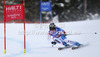 Second placed Lara Gut of Switzerland skiing in women Super-g race of FIS Alpine skiing World Championships in Schladming, Austria. Women super-g race of FIS Alpine skiing World championships Schladming 2013, was held in Scladming, Austria, on Tuesday, 5th of February 2013.
