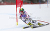Lena Duerr of Germany skiing in women Super-g race of FIS Alpine skiing World Championships in Schladming, Austria. Women super-g race of FIS Alpine skiing World championships Schladming 2013, was held in Scladming, Austria, on Tuesday, 5th of February 2013.
