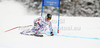 Sixth placed Alexis Pinturault of France skiing in men Super-g race of FIS Alpine skiing World Championships in Schladming, Austria. Men super-g race of FIS Alpine skiing World championships Schladming 2013, was held in Scladming, Austria, on Wednesday, 6th of February 2013.
