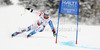 Silvan Zurbriggen of Switzerland skiing in men Super-g race of FIS Alpine skiing World Championships in Schladming, Austria. Men super-g race of FIS Alpine skiing World championships Schladming 2013, was held in Scladming, Austria, on Wednesday, 6th of February 2013.
