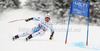 Eight placed Romed Baumann of Austria skiing in men Super-g race of FIS Alpine skiing World Championships in Schladming, Austria. Men super-g race of FIS Alpine skiing World championships Schladming 2013, was held in Scladming, Austria, on Wednesday, 6th of February 2013.
