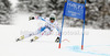 Fifth placed Matthias Mayer of Austria skiing in men Super-g race of FIS Alpine skiing World Championships in Schladming, Austria. Men super-g race of FIS Alpine skiing World championships Schladming 2013, was held in Scladming, Austria, on Wednesday, 6th of February 2013.
