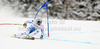 Fifth placed Matthias Mayer of Austria skiing in men Super-g race of FIS Alpine skiing World Championships in Schladming, Austria. Men super-g race of FIS Alpine skiing World championships Schladming 2013, was held in Scladming, Austria, on Wednesday, 6th of February 2013.
