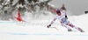 Ninth placed Adrien Theaux of France skiing in men Super-g race of FIS Alpine skiing World Championships in Schladming, Austria. Men super-g race of FIS Alpine skiing World championships Schladming 2013, was held in Scladming, Austria, on Wednesday, 6th of February 2013.
