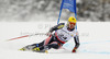 Ivica Kostelic of Croatia skiing in men Super-g race of FIS Alpine skiing World Championships in Schladming, Austria. Men super-g race of FIS Alpine skiing World championships Schladming 2013, was held in Scladming, Austria, on Wednesday, 6th of February 2013.
