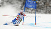 Didier Defago of Switzerland skiing in men Super-g race of FIS Alpine skiing World Championships in Schladming, Austria. Men super-g race of FIS Alpine skiing World championships Schladming 2013, was held in Scladming, Austria, on Wednesday, 6th of February 2013.
