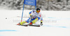 Klemen Kosi of Slovenia skiing in men Super-g race of FIS Alpine skiing World Championships in Schladming, Austria. Men super-g race of FIS Alpine skiing World championships Schladming 2013, was held in Scladming, Austria, on Wednesday, 6th of February 2013.
