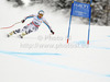 Tobias Stechert of Germany skiing in men Super-g race of FIS Alpine skiing World Championships in Schladming, Austria. Men super-g race of FIS Alpine skiing World championships Schladming 2013, was held in Scladming, Austria, on Wednesday, 6th of February 2013.
