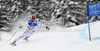 Hannes Reichelt of Austria skiing in first training for men downhill race of FIS Alpine skiing World Championships in Schladming, Austria. First training for men downhill race of FIS Alpine skiing World championships Schladming 2013, was held in Schladming, Austria, on Thursday, 7th of February 2013.
