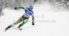 Andreas Romar of Finland skiing in first training for men downhill race of FIS Alpine skiing World Championships in Schladming, Austria. First training for men downhill race of FIS Alpine skiing World championships Schladming 2013, was held in Schladming, Austria, on Thursday, 7th of February 2013.
