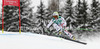 Anna Fenninger of Austria skiing in second training for women downhill race of FIS Alpine skiing World Championships in Schladming, Austria. Second training for women downhill race of FIS Alpine skiing World championships Schladming 2013, was held in Schladming, Austria, on Thursday, 7th of February 2013.
