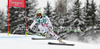 Anna Fenninger of Austria skiing in second training for women downhill race of FIS Alpine skiing World Championships in Schladming, Austria. Second training for women downhill race of FIS Alpine skiing World championships Schladming 2013, was held in Schladming, Austria, on Thursday, 7th of February 2013.
