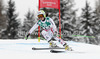 Anna Fenninger of Austria skiing in second training for women downhill race of FIS Alpine skiing World Championships in Schladming, Austria. Second training for women downhill race of FIS Alpine skiing World championships Schladming 2013, was held in Schladming, Austria, on Thursday, 7th of February 2013.
