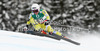 Lotte Smiseth Sejersted of Norway skiing in second training for women downhill race of FIS Alpine skiing World Championships in Schladming, Austria. Second training for women downhill race of FIS Alpine skiing World championships Schladming 2013, was held in Schladming, Austria, on Thursday, 7th of February 2013.
