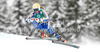Sara Hector of Sweden skiing in second training for women downhill race of FIS Alpine skiing World Championships in Schladming, Austria. Second training for women downhill race of FIS Alpine skiing World championships Schladming 2013, was held in Schladming, Austria, on Thursday, 7th of February 2013.
