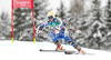 Sara Hector of Sweden skiing in second training for women downhill race of FIS Alpine skiing World Championships in Schladming, Austria. Second training for women downhill race of FIS Alpine skiing World championships Schladming 2013, was held in Schladming, Austria, on Thursday, 7th of February 2013.
